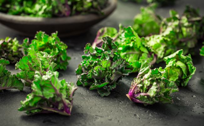 Bio Flower Sprouts